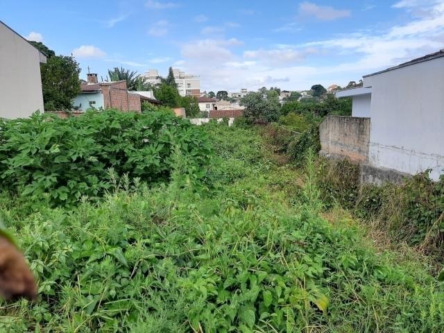 Terreno para Venda em Curitiba - 4