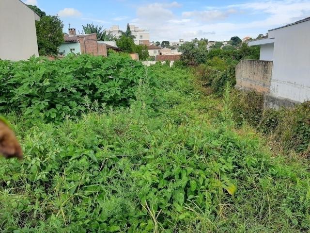 Terreno para Venda em Curitiba - 5
