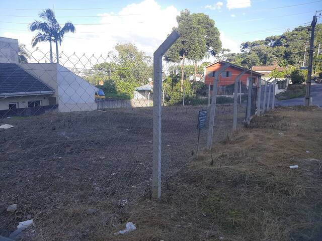 Área para Venda em Curitiba - 5